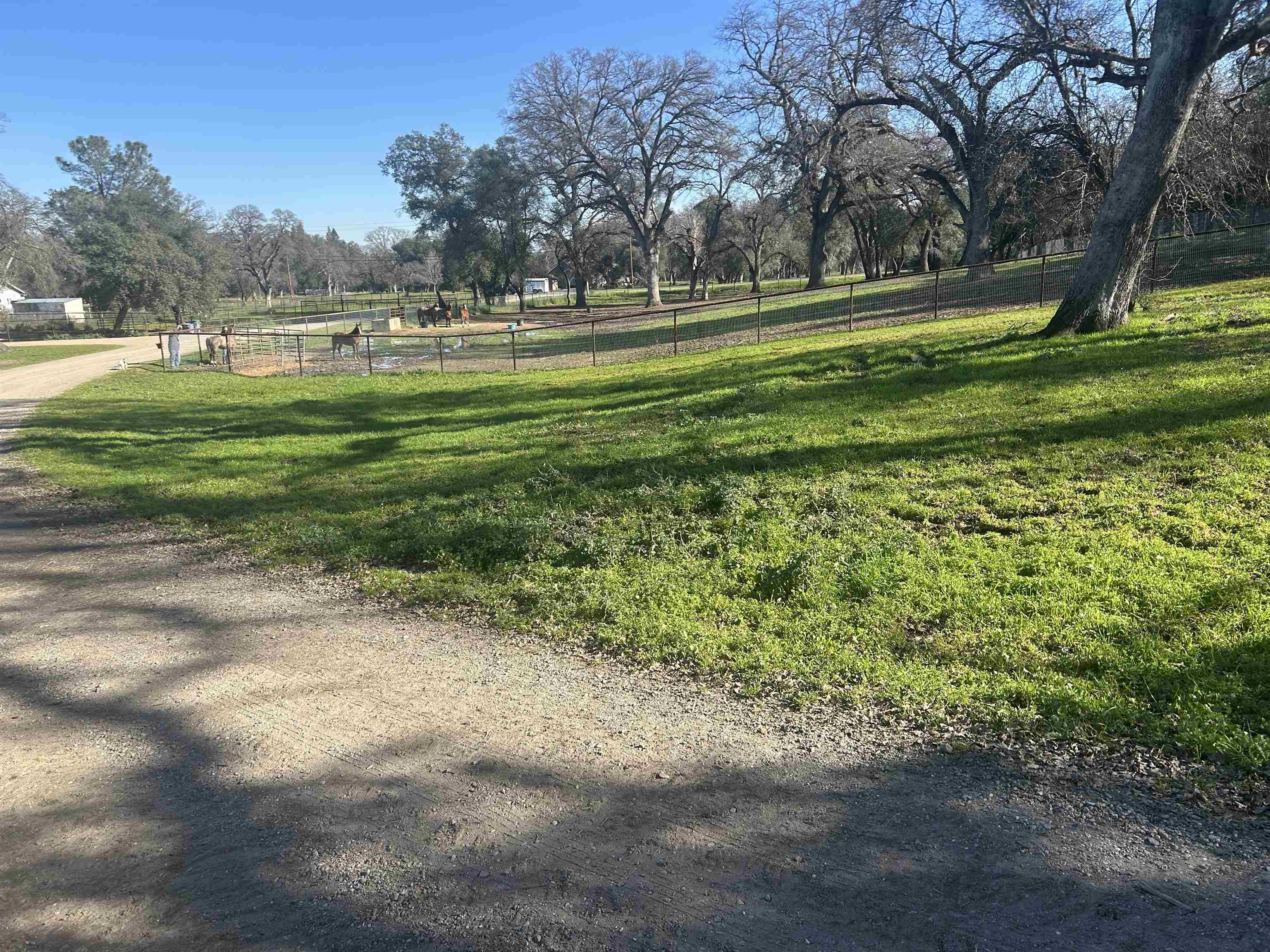 12585 Wilder Road Red Bluff, CA 96080 - Photo 6 of 26