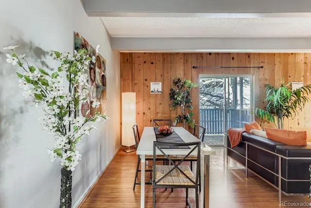 a living room filled with furniture and a potted plant