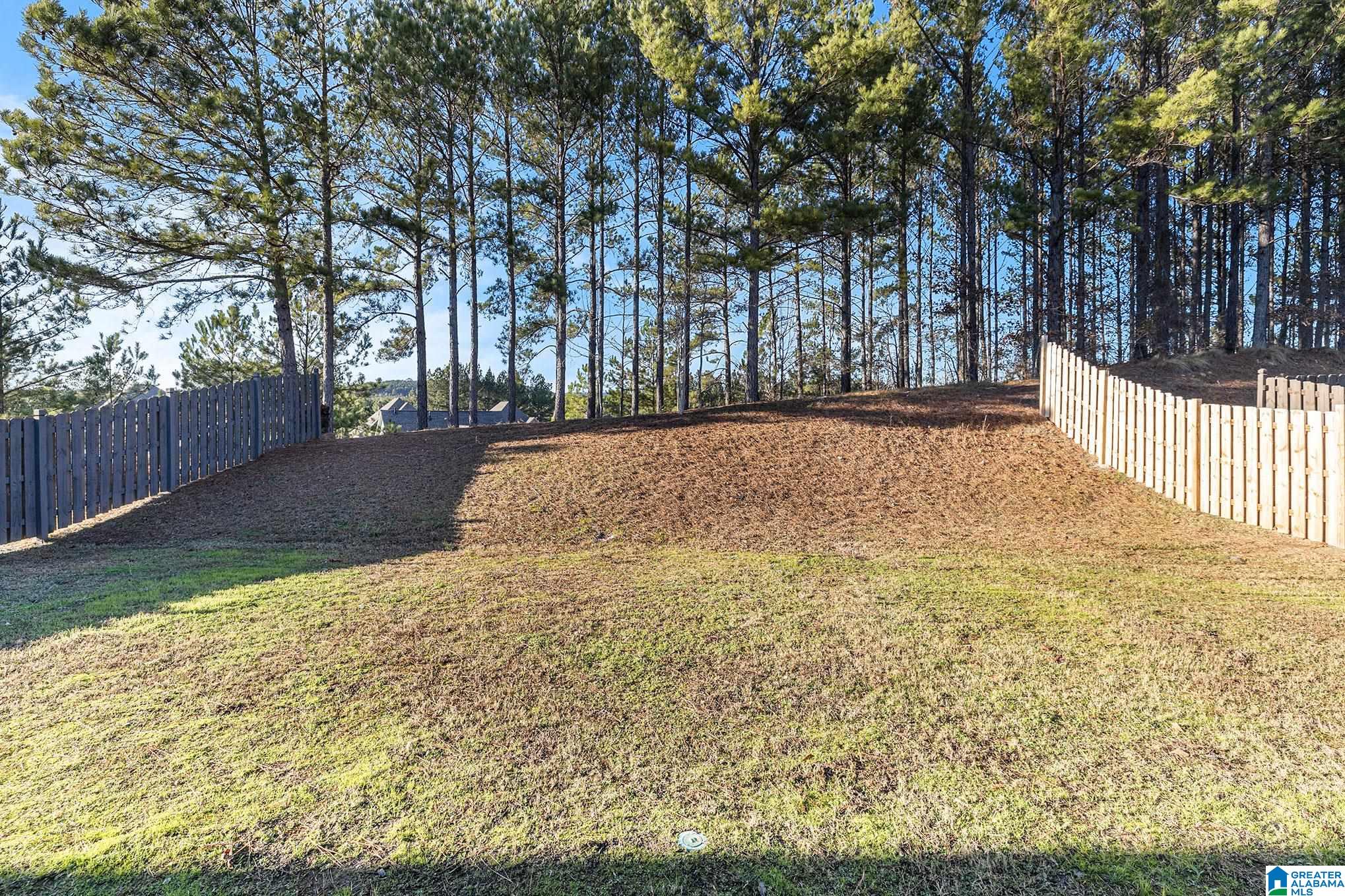 319 Crossbridge Road Chelsea, AL 35043 - Photo 31 of 31