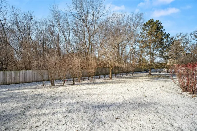 a view of a yard with snow and trees