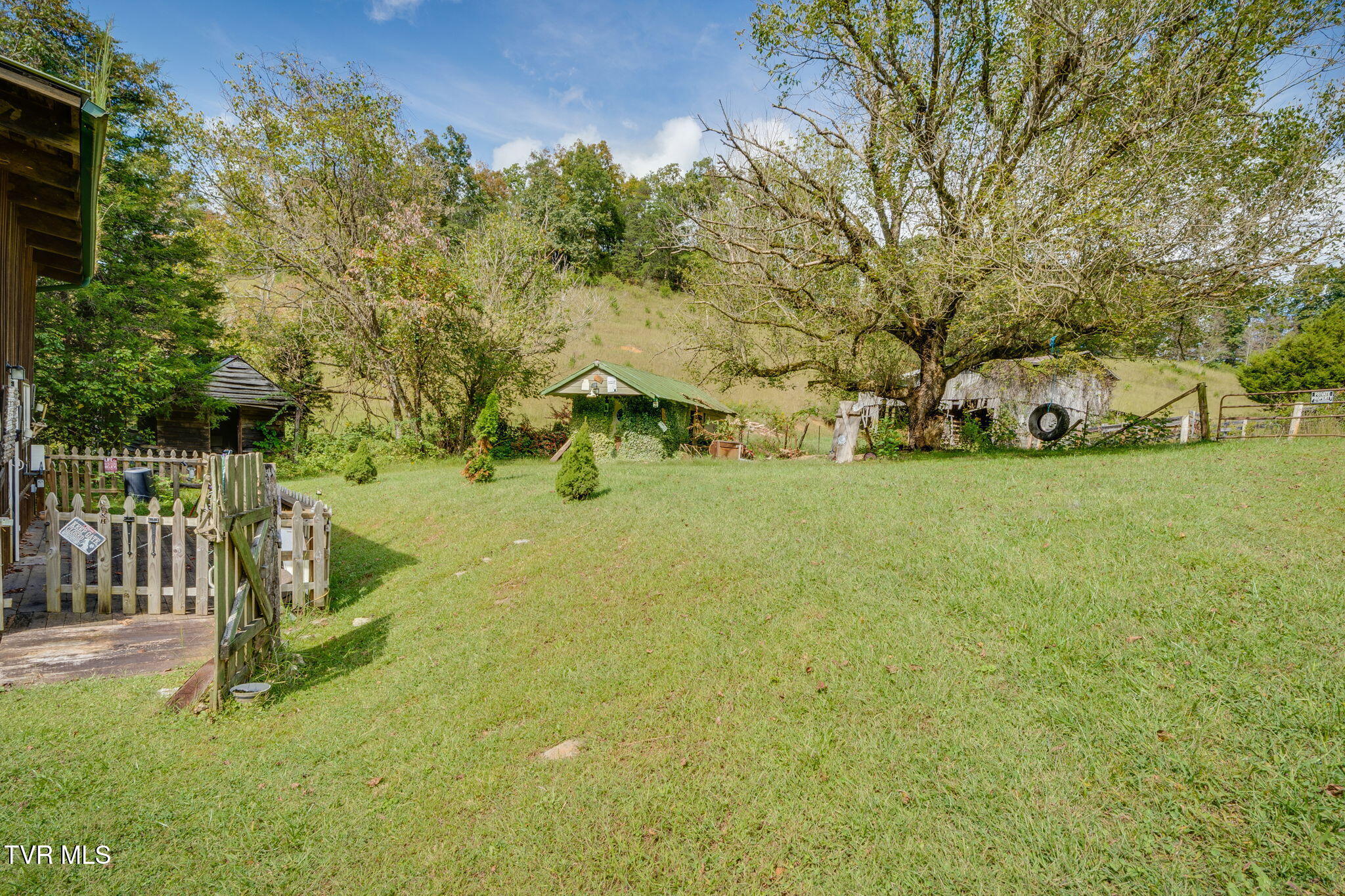 205 Helton Hollow Road Eidson, TN 37731 - Photo 29 of 41 29h