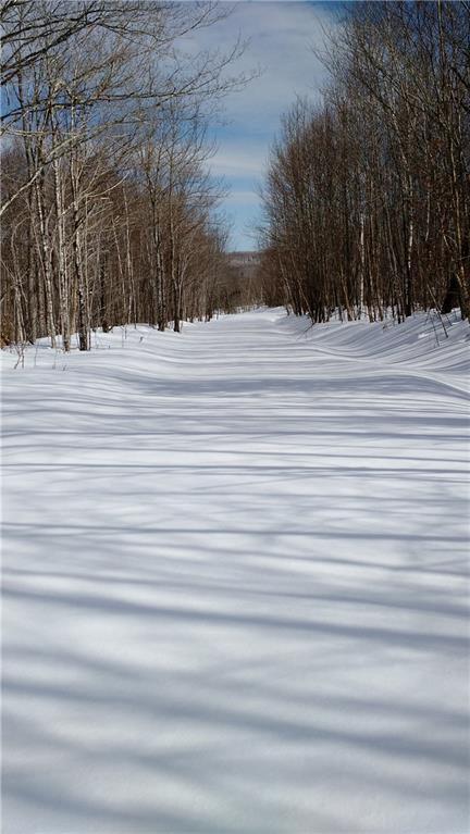 Lot 3 West Sam Rowe Ridge Springfield, ME 04487 - Photo 3 of 3 Photo