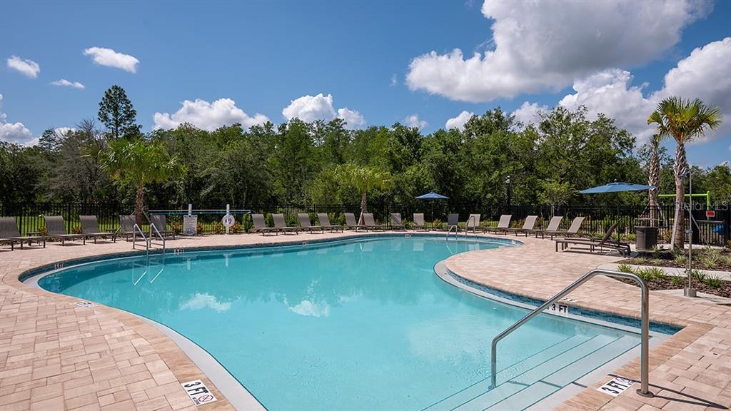 2919 Skyline Loop Kissimmee, FL 34758 - Photo 19 of 43