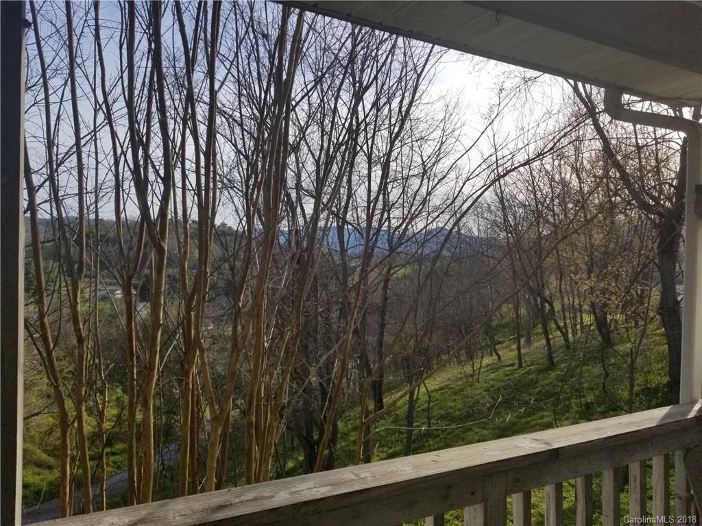195 Scottdale Road Canton, NC 28716 - Photo 3 of 32