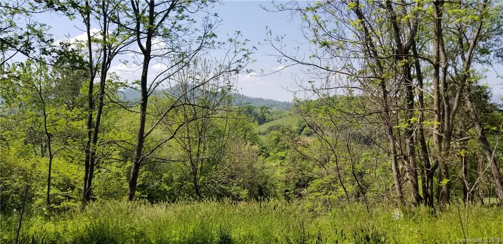 195 Scottdale Road Canton, NC 28716 - Photo 5 of 32