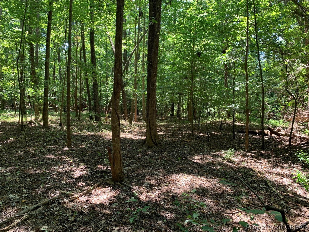 Lot 41 Wilton Creek Road Hartfield, VA 23071 - Photo 6 of 12 Highly Elevated - Lightly Wooded - No Flood Zone
