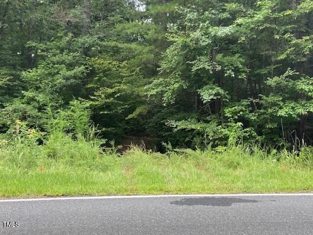 0 Buck Street Road Roxboro, NC 27574 - Photo 5 of 5 IMG_1339