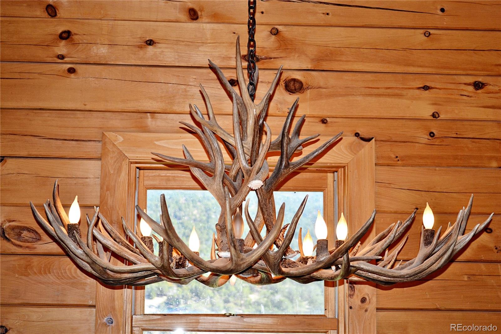 219 Big Dog Road Rifle, CO 81650 - Photo 15 of 27