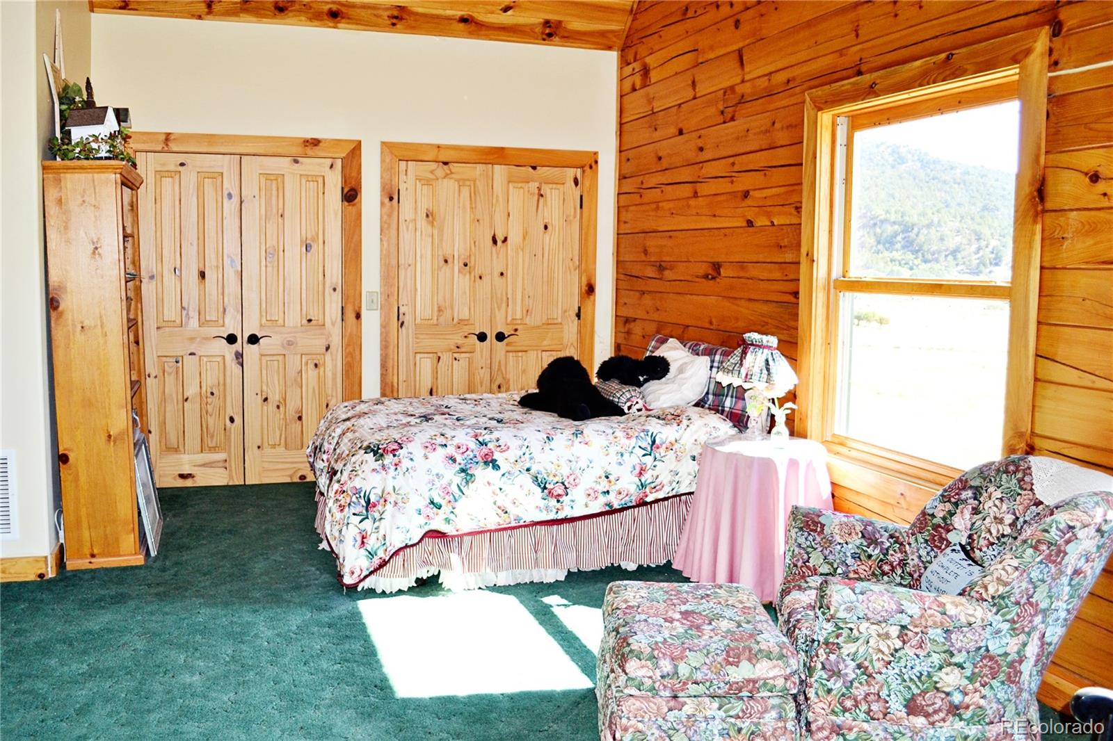 219 Big Dog Road Rifle, CO 81650 - Photo 21 of 27