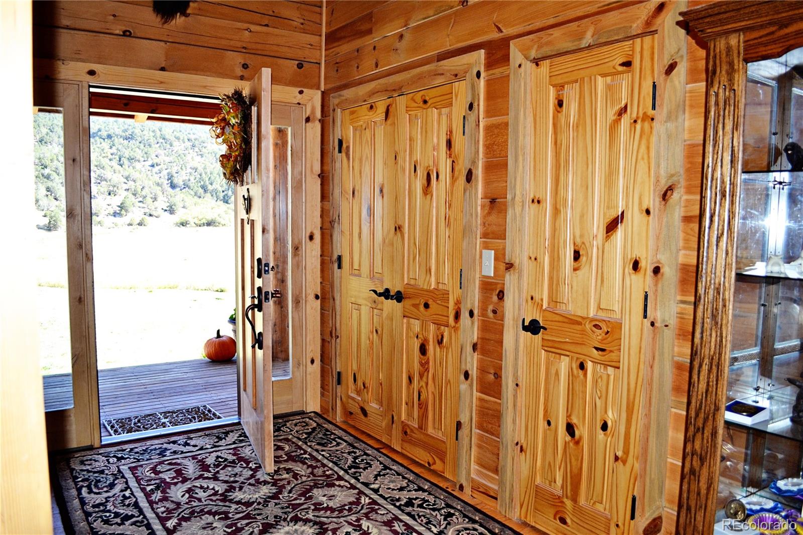 219 Big Dog Road Rifle, CO 81650 - Photo 8 of 27