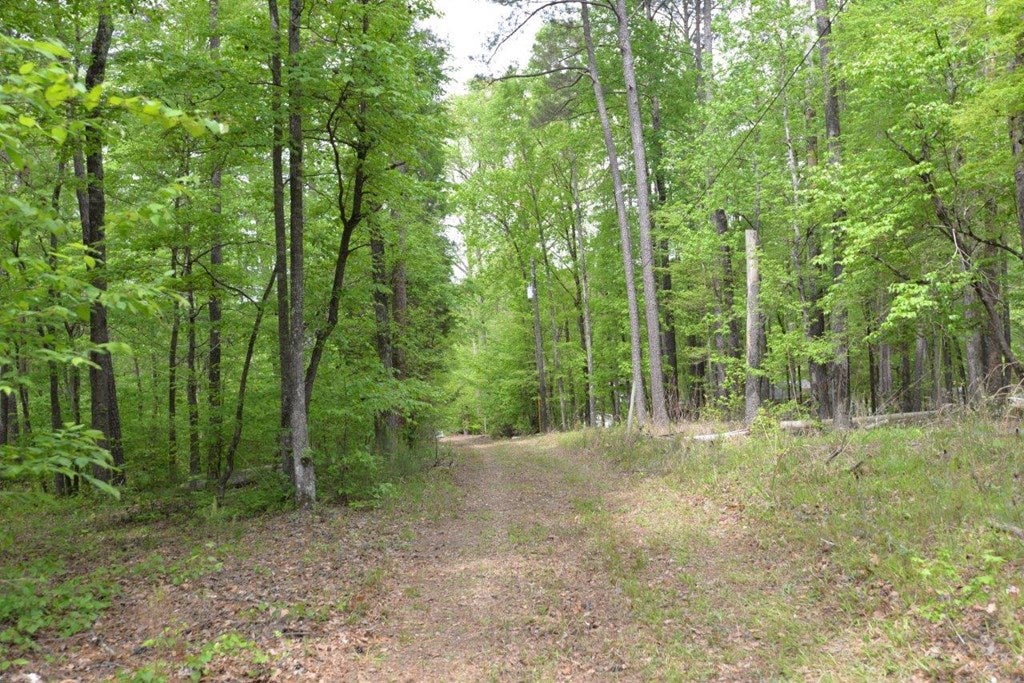 234 Cold Branch Road Eatonton, GA 31024 - Photo 10 of 19 Gallery Image 10