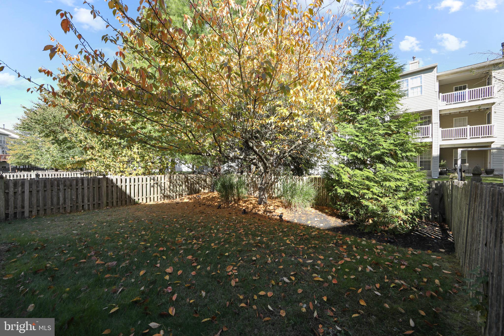 27 Firethorn Lane Riverside, NJ 08075 - Photo 35 of 43 a view of backyard with pathway and trees