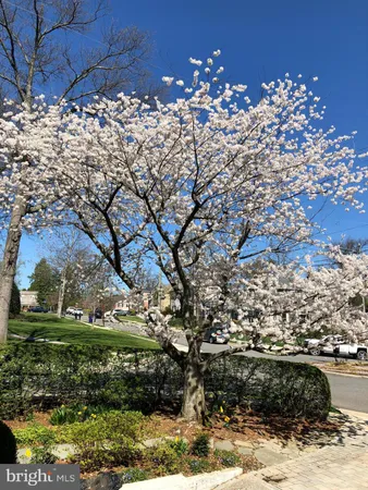 $1,995,000 | 6108 Vernon Terrace, Alexandria, VA 22307