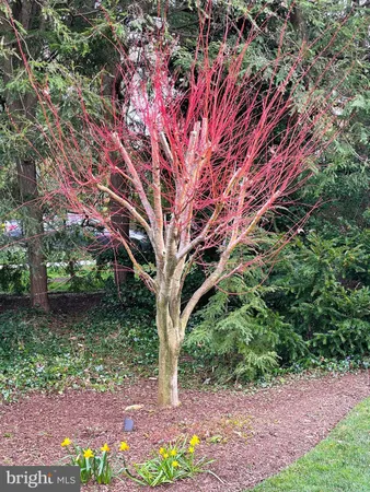 $1,995,000 | 6108 Vernon Terrace, Alexandria, VA 22307