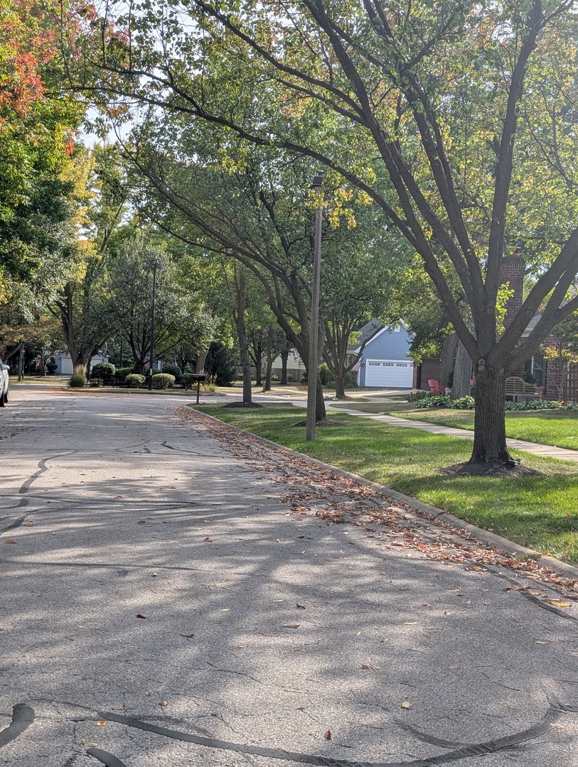 1535 Wedgefield Circle, Unit 1535 Naperville, IL 60563 - Photo 43 of 46 a view of a house with a big yard and large trees