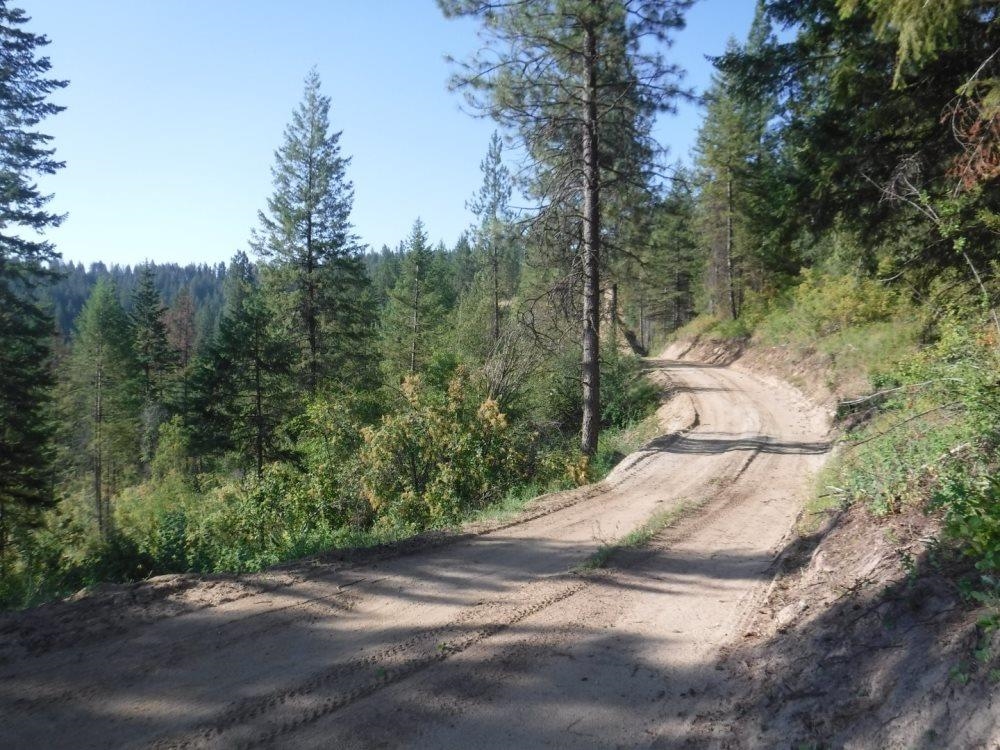 Lot 1 Southwest Moose Ridge Way Loon Lake, WA 99148 - Photo 11 of 13