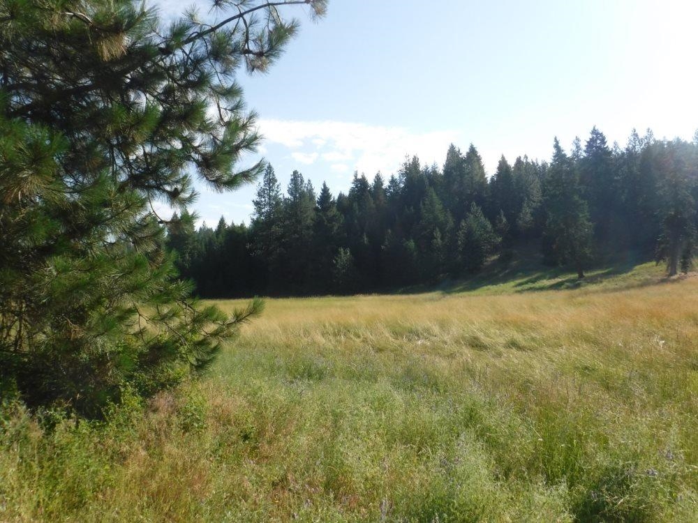 Lot 1 Southwest Moose Ridge Way Loon Lake, WA 99148 - Photo 12 of 13