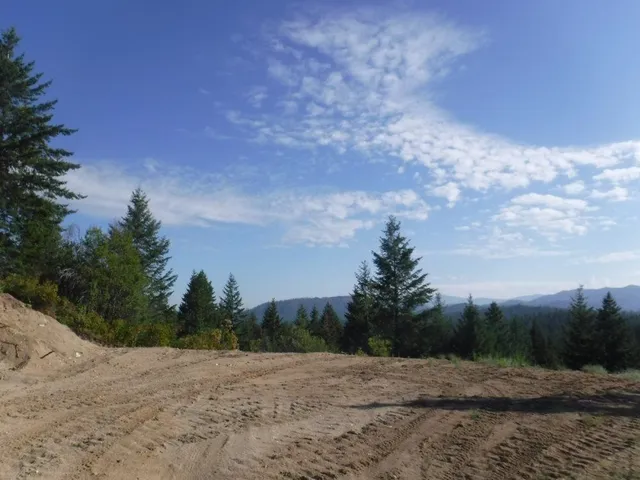 $325,000 | Lot 1 Southwest Moose Ridge Way, Loon Lake, WA 99148