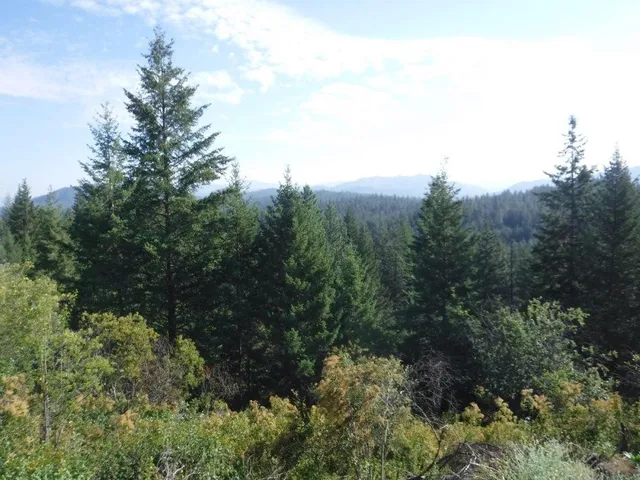 $325,000 | Lot 1 Southwest Moose Ridge Way, Loon Lake, WA 99148