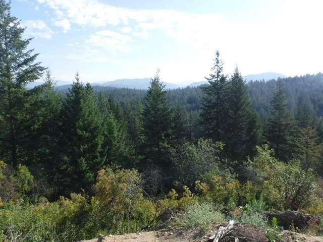 $325,000 | Lot 1 Southwest Moose Ridge Way, Loon Lake, WA 99148