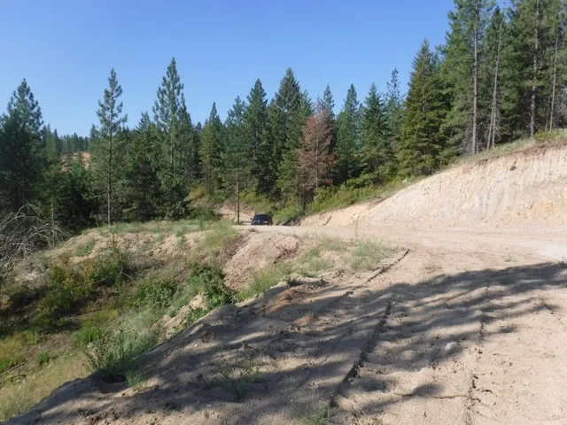 $325,000 | Lot 1 Southwest Moose Ridge Way, Loon Lake, WA 99148