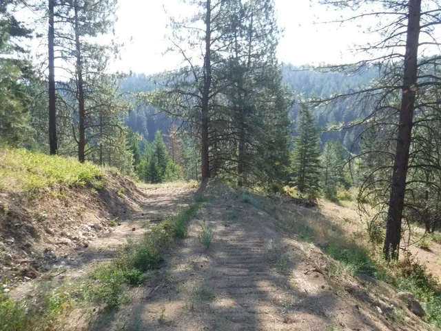 $325,000 | Lot 1 Southwest Moose Ridge Way, Loon Lake, WA 99148