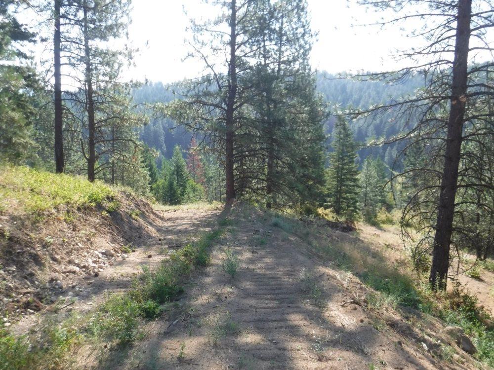 Lot 1 Southwest Moose Ridge Way Loon Lake, WA 99148 - Photo 10 of 13