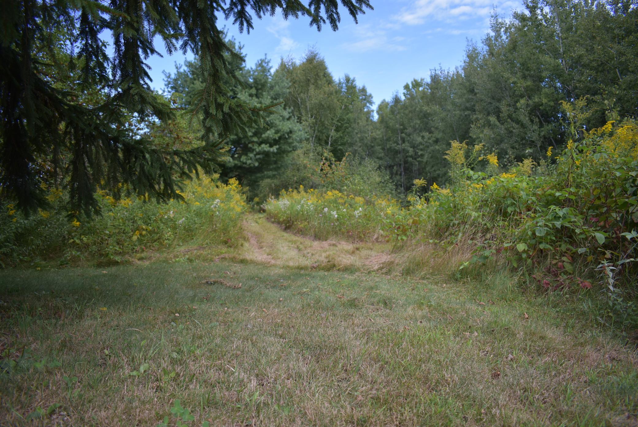 N8339 Champion Road Trego, WI 54888 - Photo 15 of 61 Gallery Image 15