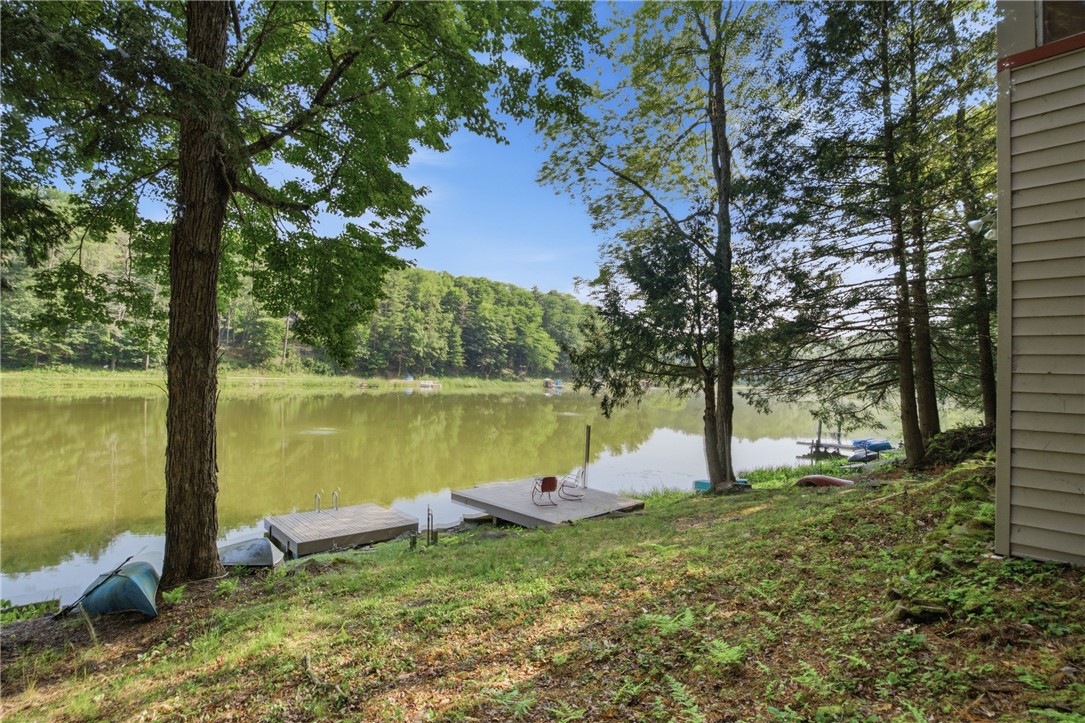 3819 Goodhue Lake Road Addison, NY 14801 - Photo 28 of 29
