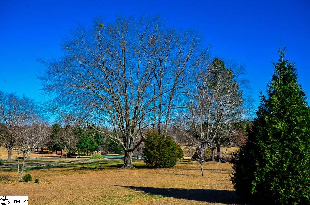 451 Nelson Road Inman, SC 29349 - Photo 7 of 33