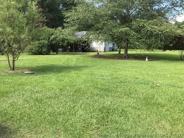 351 Railroad Road Orrum, NC 28369 - Photo 5 of 16 Gallery Image 5