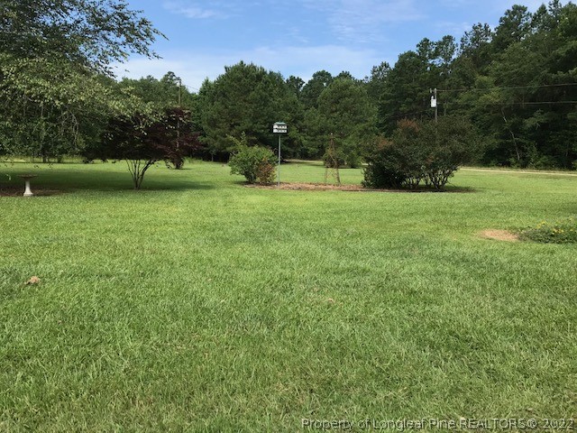 351 Railroad Road Orrum, NC 28369 - Photo 6 of 16 Gallery Image 6