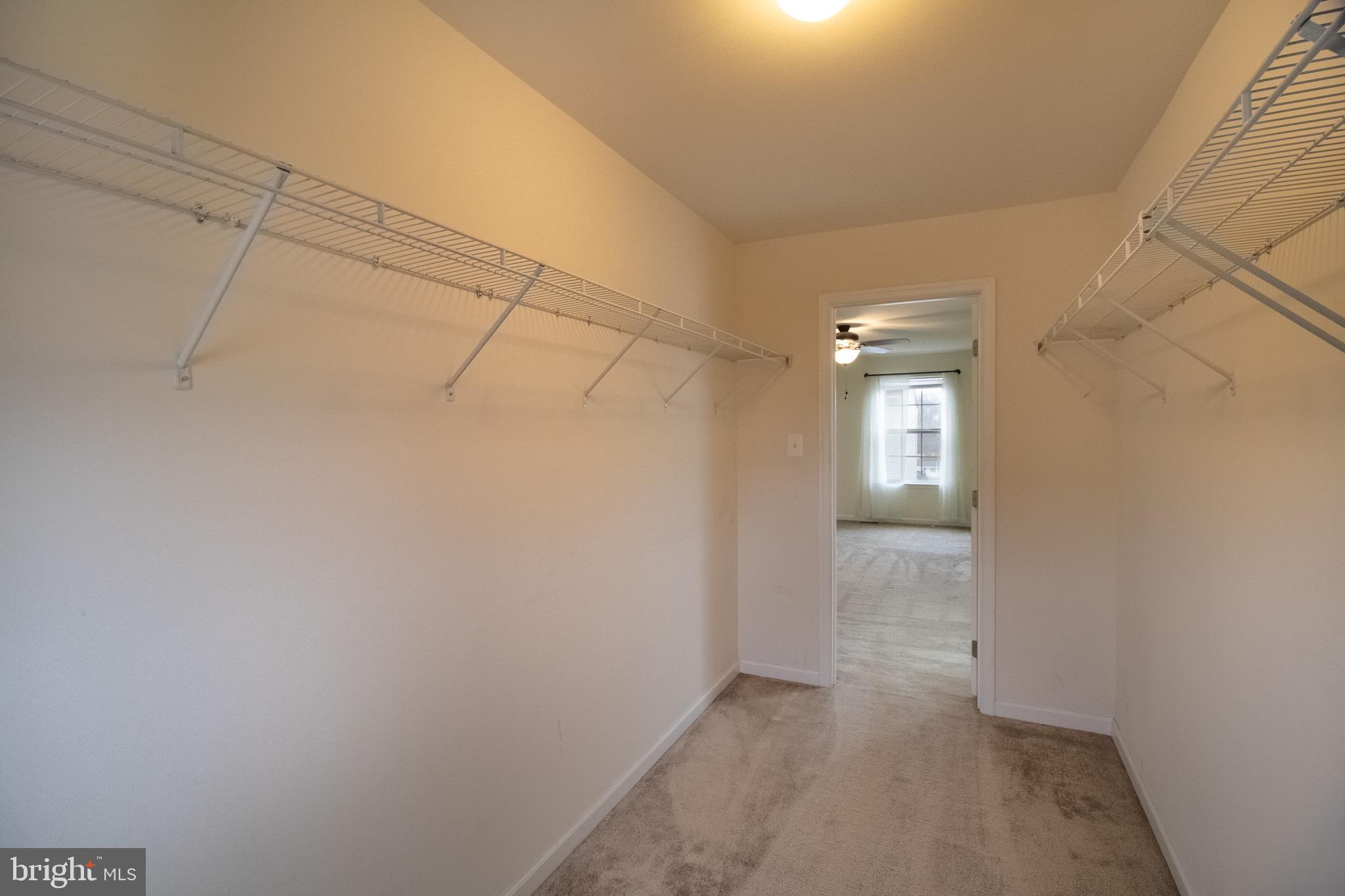 57 Tollerton Trail Falling Waters, WV 25419 - Photo 30 of 59 Huge main bedroom closet