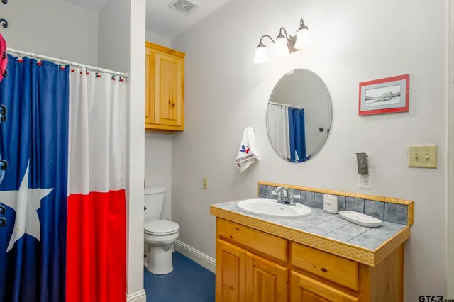 a bathroom with a toilet a sink and a mirror