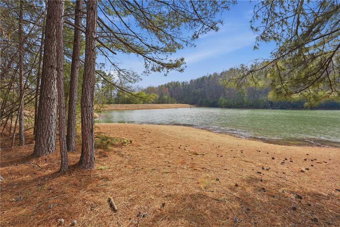 S-28 Tamassee Ridge Way Salem, SC 29676 - Photo 10 of 21