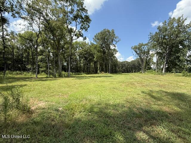 532 Ratliff Ferry Road Canton, MS 39046 - Photo 13 of 19 image5