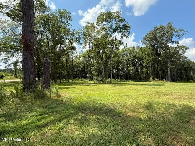 $131,000 | 532 Ratliff Ferry Road, Canton, MS 39046