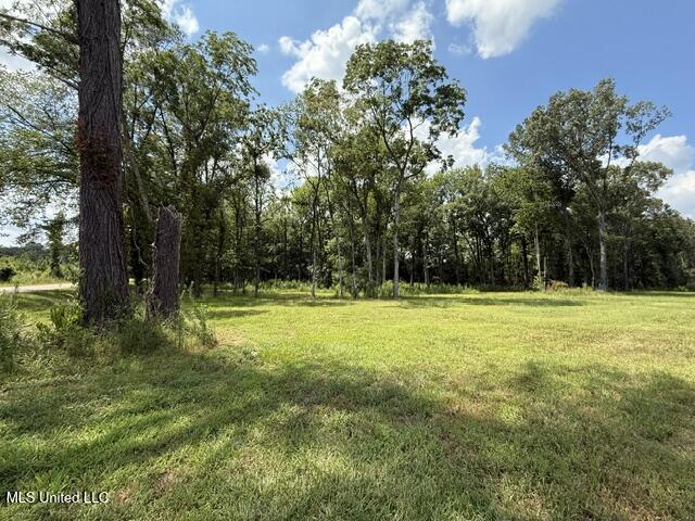 532 Ratliff Ferry Road Canton, MS 39046 - Photo 14 of 19 image2