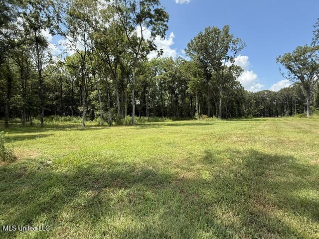 532 Ratliff Ferry Road Canton, MS 39046 - Photo 15 of 19 image0