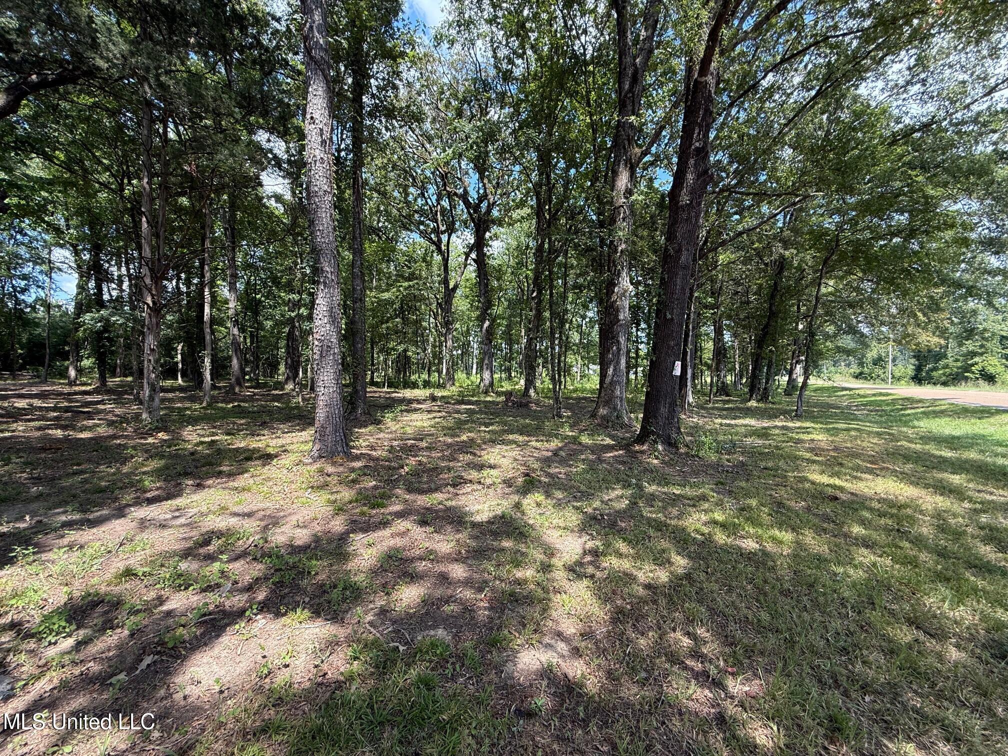 532 Ratliff Ferry Road Canton, MS 39046 - Photo 18 of 19 IMG_1008