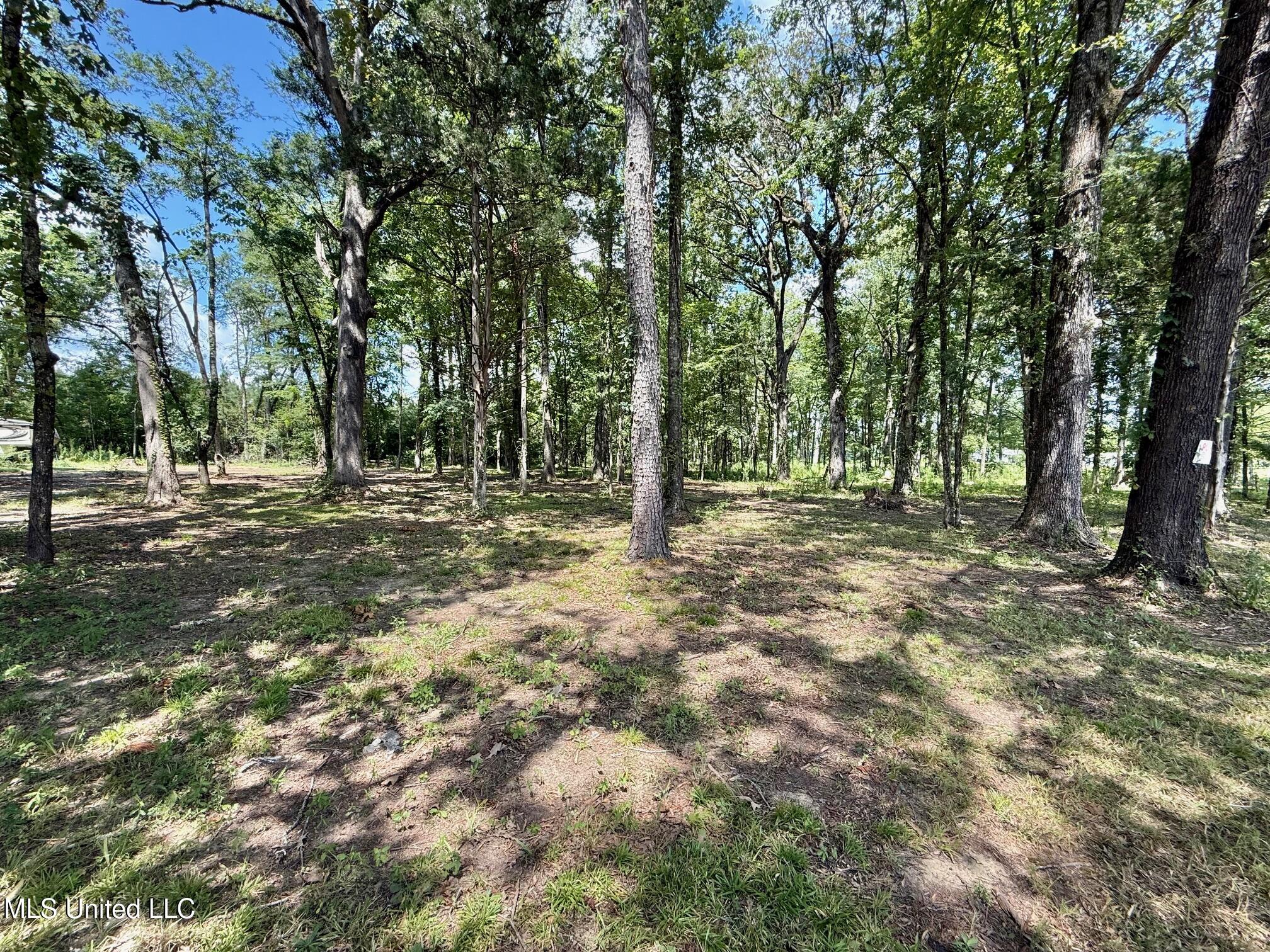 532 Ratliff Ferry Road Canton, MS 39046 - Photo 19 of 19 IMG_1007