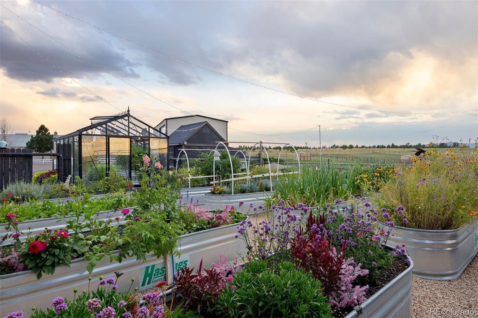 2940 Canon Ridge Road Castle Rock, CO 80104 - Photo 36 of 49 a view of a garden with a flower garden