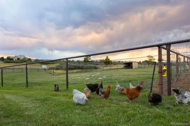 $5,500,000 | 2940 Canon Ridge Road, Castle Rock, CO 80104