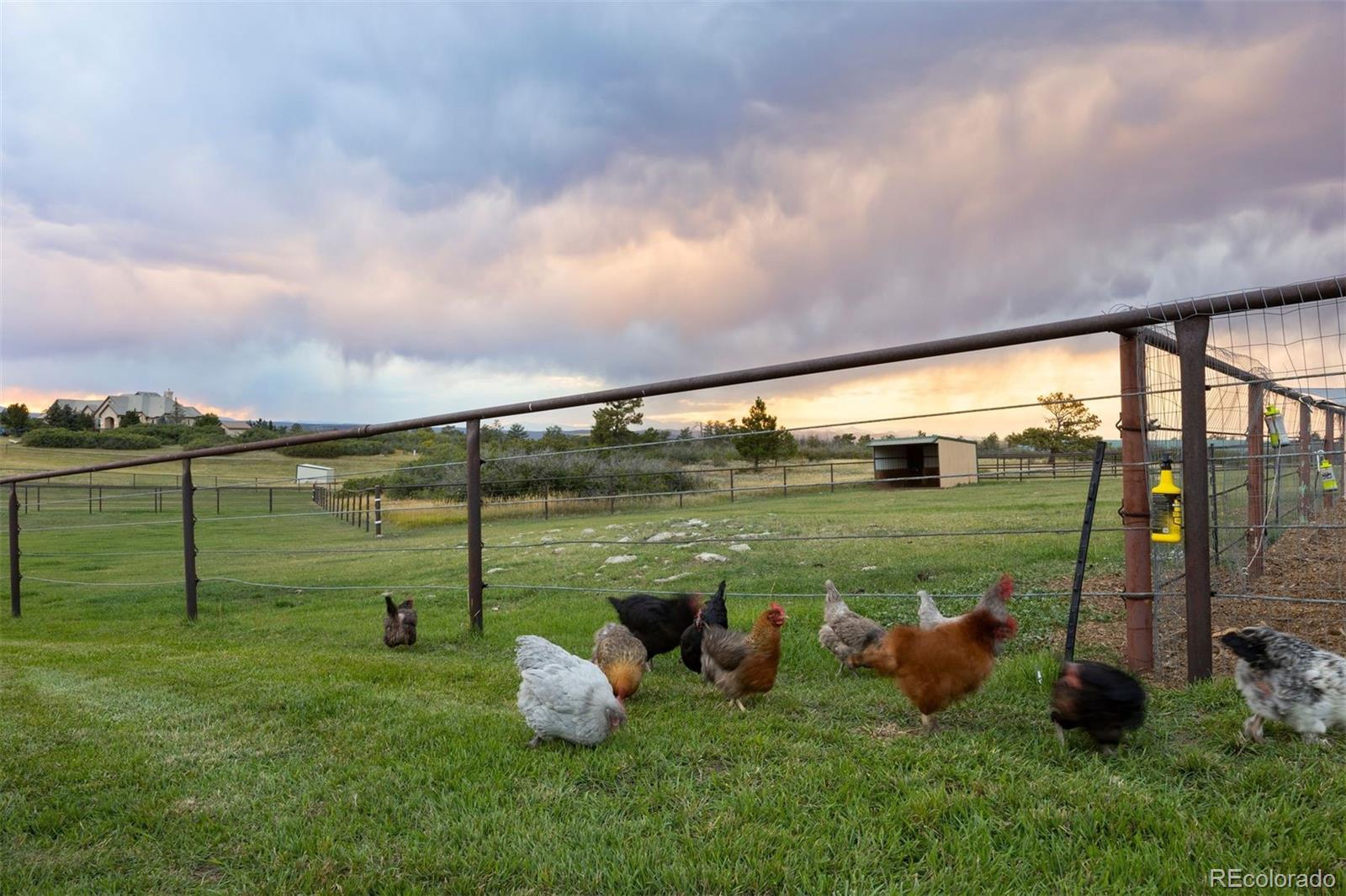 2940 Canon Ridge Road Castle Rock, CO 80104 - Photo 49 of 49 a view of a lake from a big room