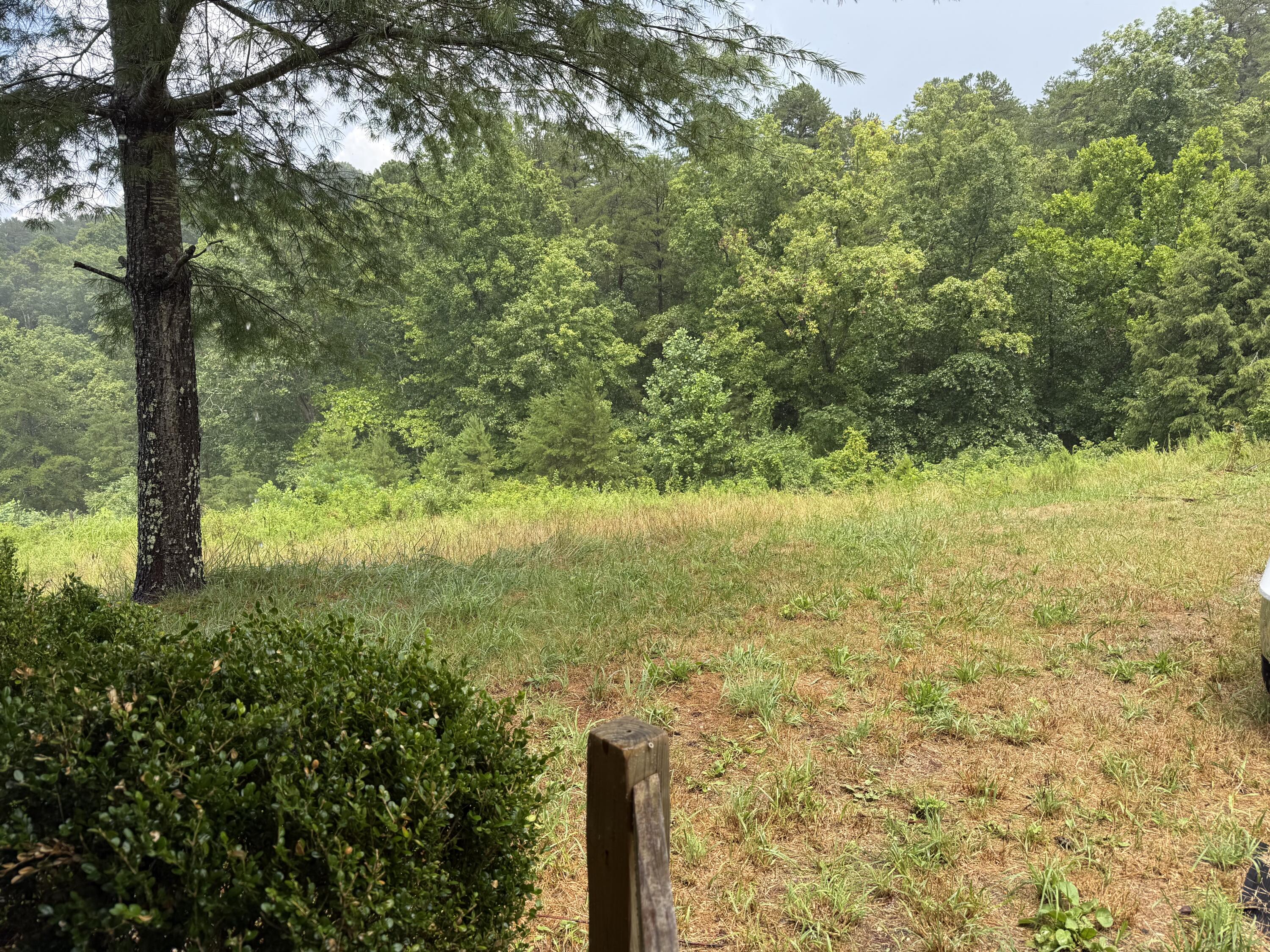800 Pond Lick Road Annville, KY 40402 - Photo 5 of 46 IMG_3549