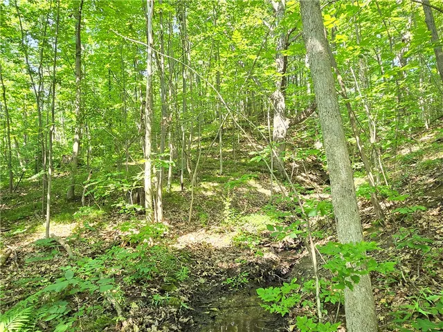 $17,499 | 0 Warren Road, Middlesex, NY 14507