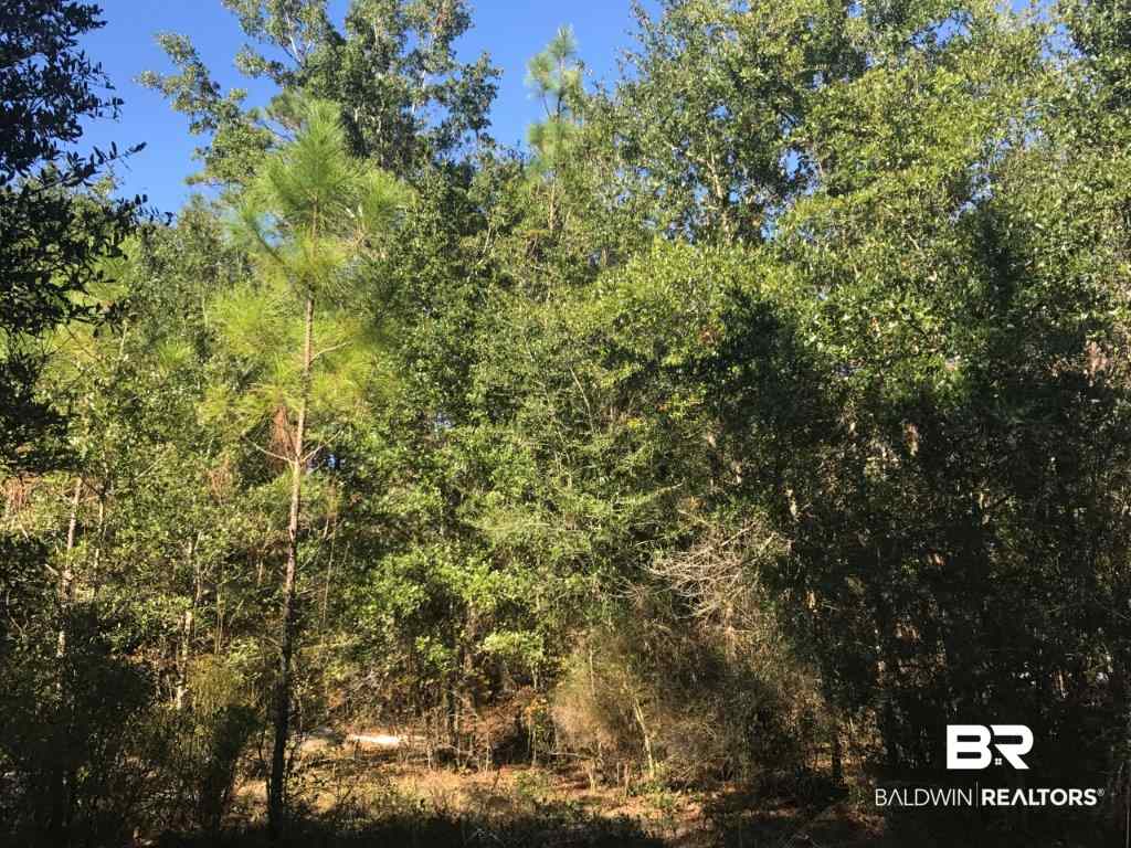 0 Lost River Road Seminole, AL 36574 - Photo 2 of 13