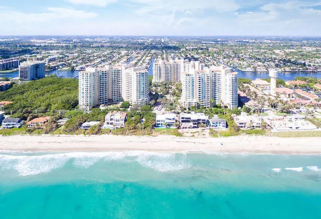 a living room with furniture potted plant and a potted plant