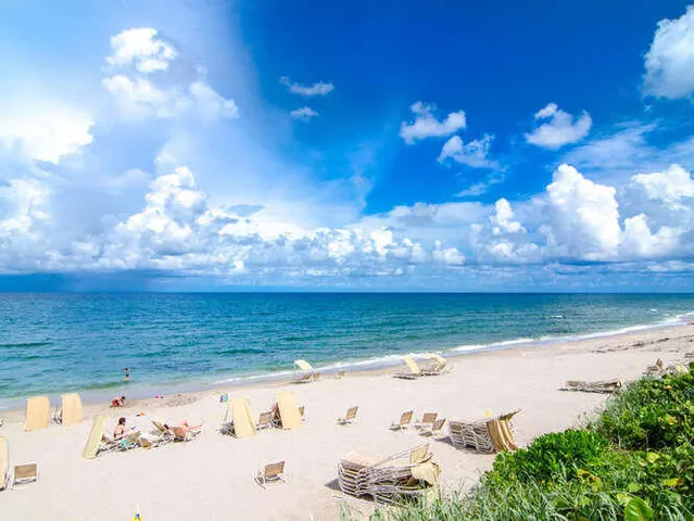 a view of a lake with a yard