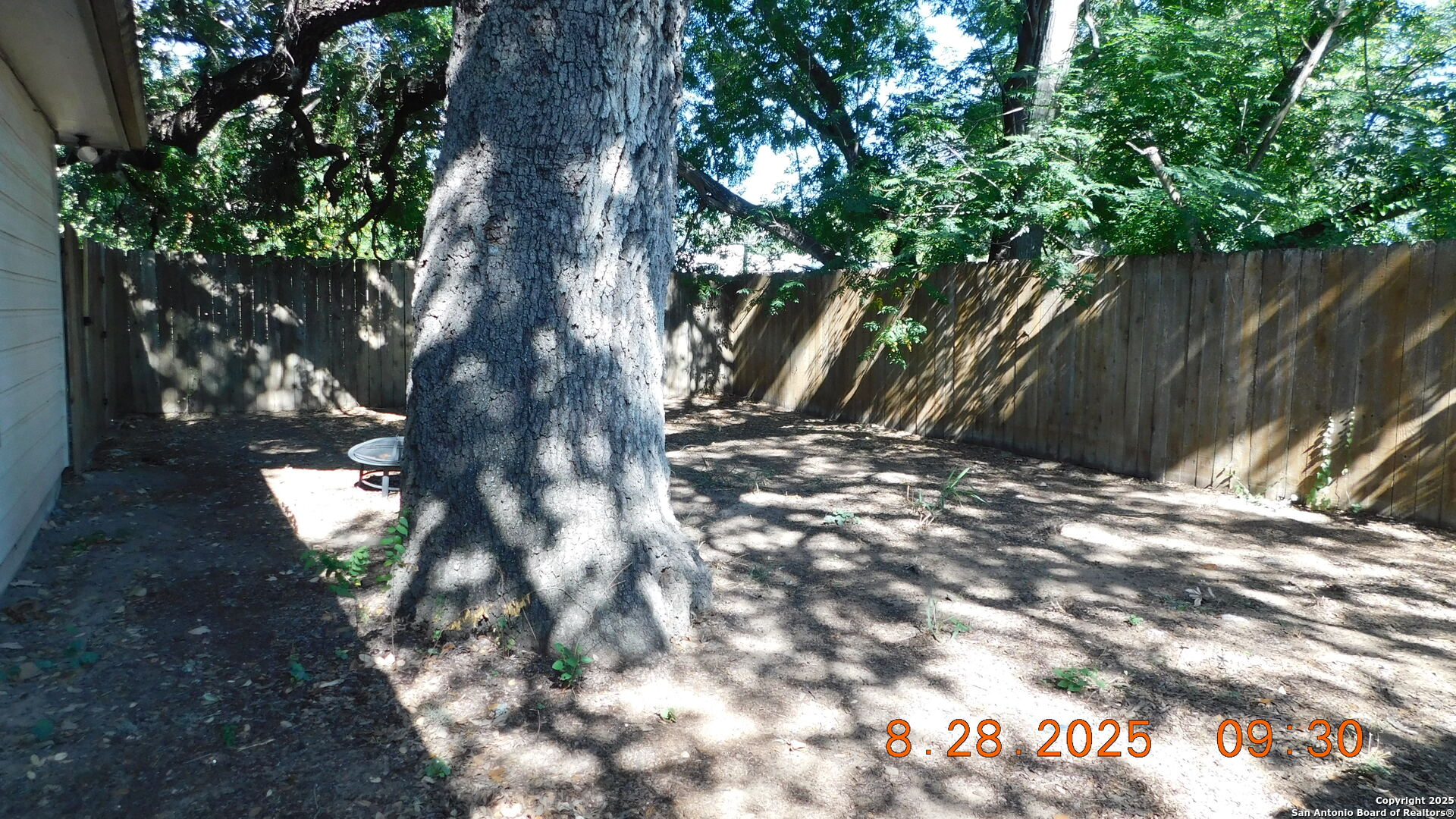 1411 Martin Street Pleasanton, TX 78064 - Photo 6 of 7 a view of tree